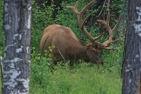 elk_quarry_lake_park